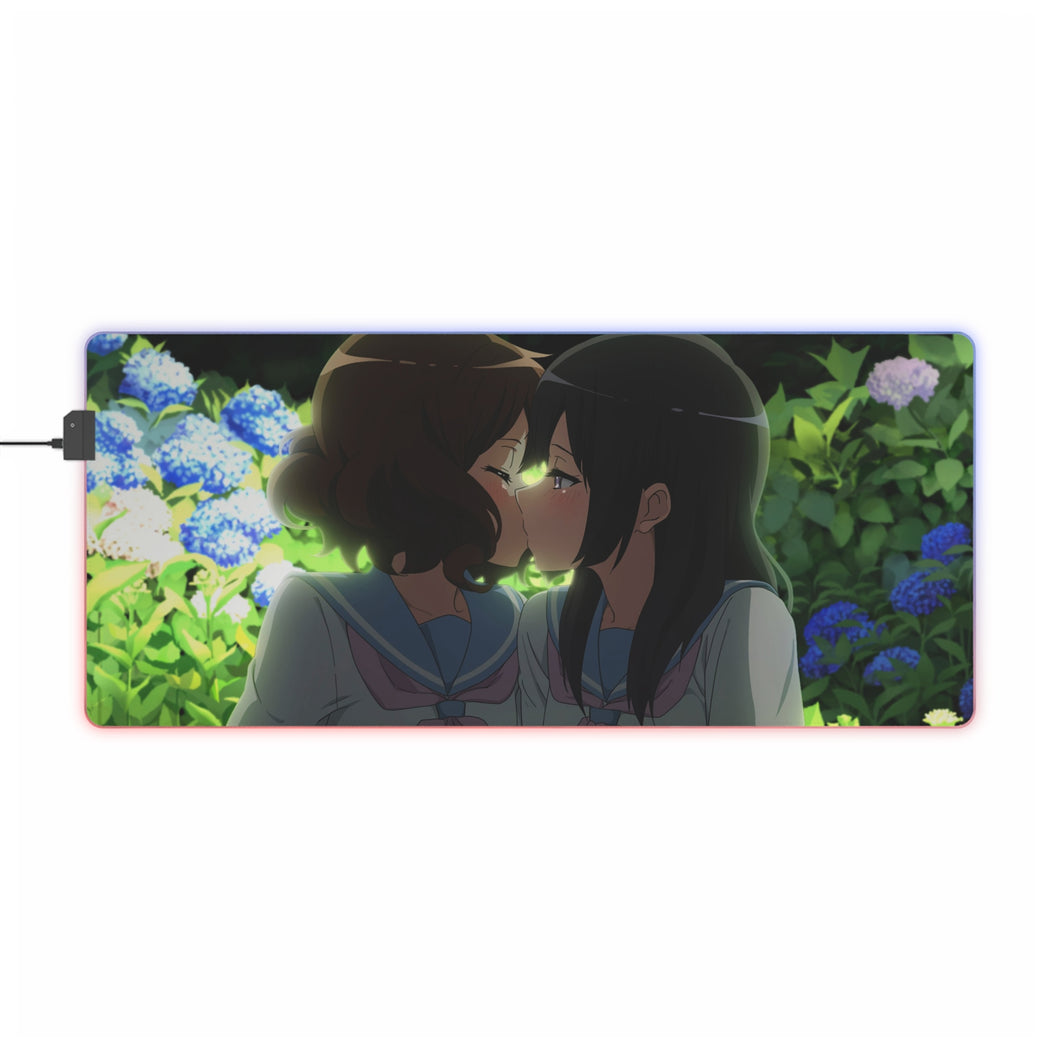 Son ! Euphonium Kumiko Oumae, Reina Kousaka Tapis de souris LED RGB (tapis de bureau)